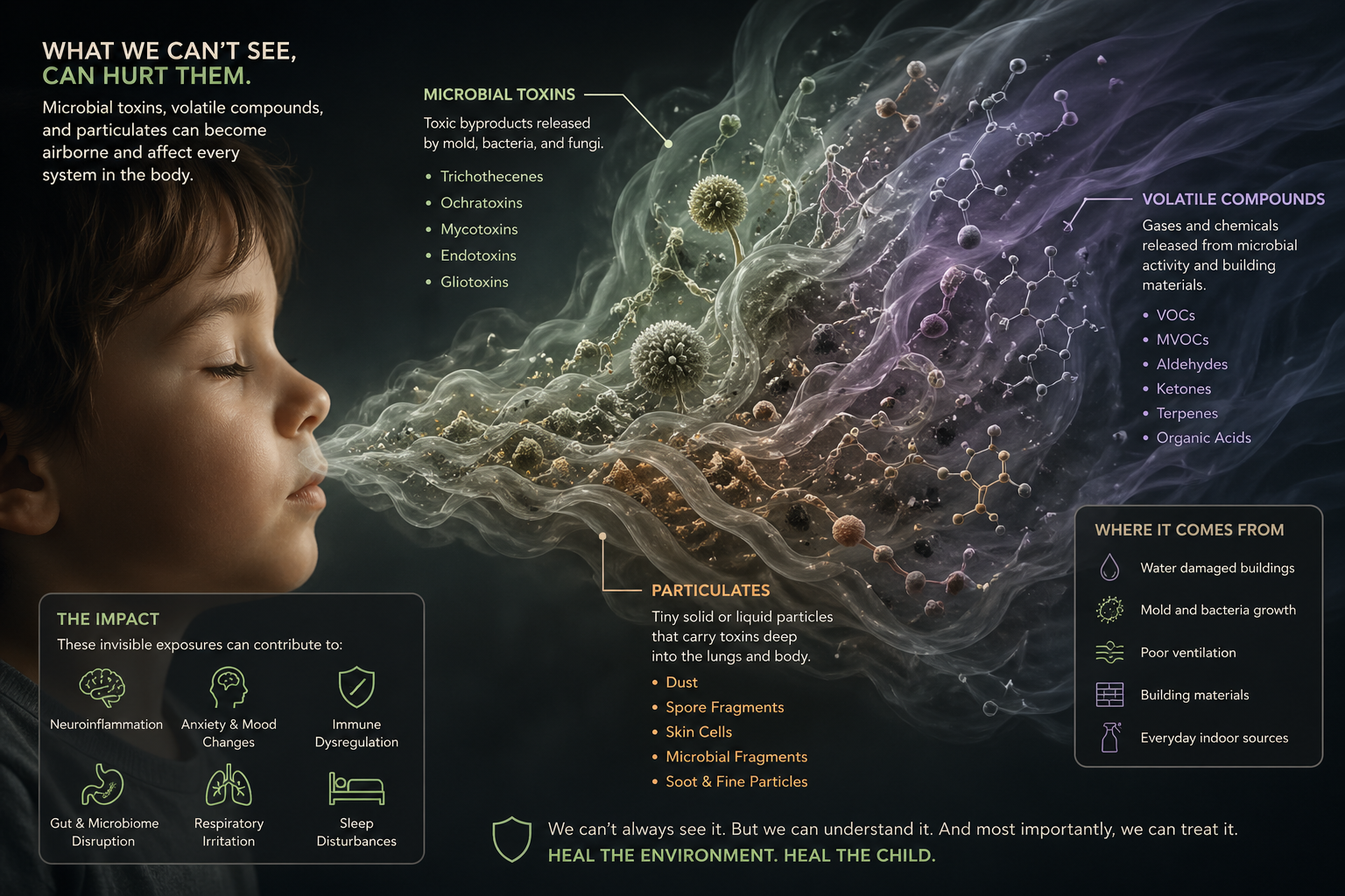 Diagram illustrating over 1,000 microbial toxins and compounds that can be released by water-damaged building organisms